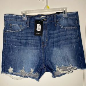 Fashion Nova Cut Off Shorts (15)